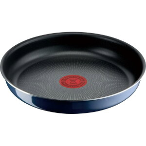 eBt@[ T-fal CWjIElI Cu[ECeX tCp 22cm KXΐp Ȃ Pi L43703