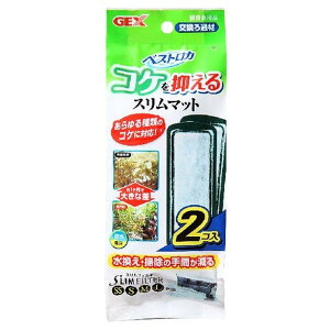xXgJRP}X}bg2