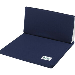 SOFT99 (\tg99) T|[gNbV {fBhN^[ 3D }`tBbg|g CfBSu[ 02522