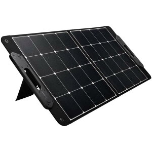 y݌ɗLE[zJVCPEbh Victor |[^u\[[pl BH-SV100 őo100W ܂肽ݎ N[GlM[ d USB[d [J[