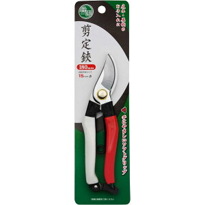 V Ή  180mm \tgObv ͂ oT~  ʎ  Ԕnh