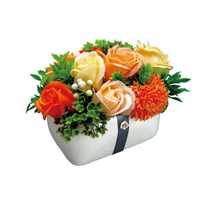 y݌ɗLE[z\[vt[ AWg t[X s[` FDC2NFRC t[\[v Mtg  j ̓ v[g |bgAW