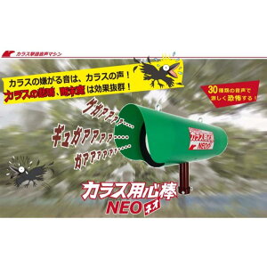 JXpS_NEO KRS-300 JX Qb މ {̂̂ obe[ʔ