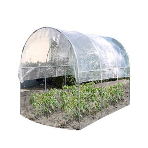 hH g}g̉ NT-28W {̈ꎮ 1.5 2p J悯 nEX rj[nEX Ė qlg g}g ƒ؉ _