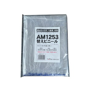 hH J悯nEX AM1253p փrj[ 1p  ւ rj[ | ƒ؉ _