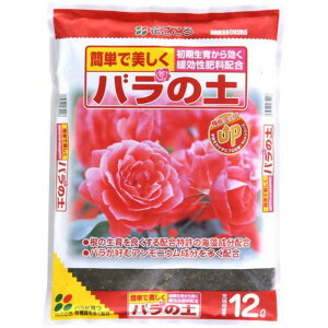 Ԃ o̓y 12L | |{y y K[fjO