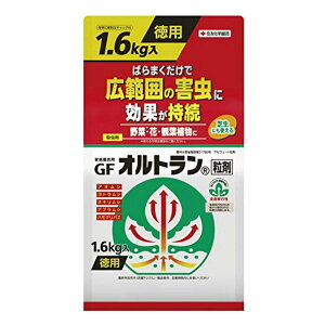 ZFw| ƒ뉀|pGFIg 1.6kg