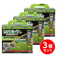 【在庫有・即納】【まとめ買い】 レインボー薬品 シバキープProサッチ分解剤 2.8kg×3個セット 芝生 肥料…