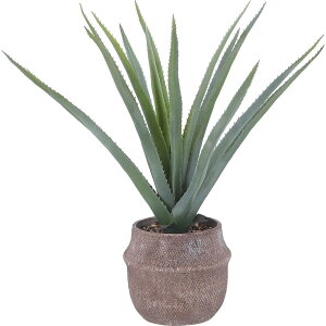 yIzsf tFCNO[ AG MTCY Zg|bg CeAO[ lHϗtA 41136