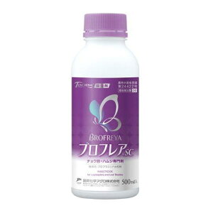 y݌ɗLE[zO䉻wNbvCt\[V utASC 500ml E `EځEnV _ { |pi