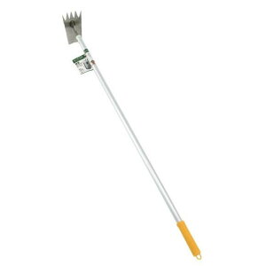 ؍H ̎O A~pCv 81015  L [L  W yNy  cq搶 E ؍͔| ؍