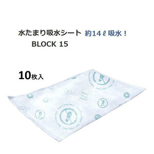 DAIICHI EIZAI q hАl ܂zV[g 10 BLOCK15 BMS-003