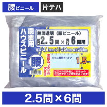 楽天市場】ビニール 2．5間の通販