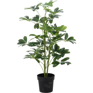 yIzsf tFCNO[ CeAO[ htJmL lϗtA ^ 105cm 52693