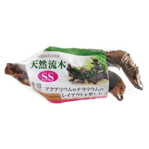 GEX(WFbNX) VR SS 15`20cm@ANAE  CAEg  eE