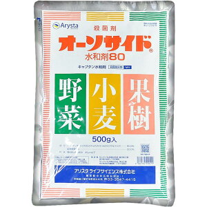 AX^CtTCGX I[\TCha80 500g Eۍ \h ϐۑ΍ _  | K[fjO