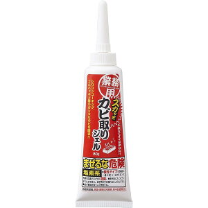 Ɩp XJbƃJrWF 80g 1 pbLEVR[R[LO Jr fn |  ^C SpbL |