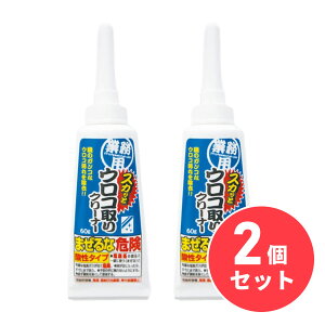 ACfBA ƖpXJbƃERN[i[ 60g ER    ʑ  N[i[