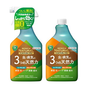 y݌ɗLE[zyzZFw| EEۍ xjJi`Xv[ Zbg y{1000ml 1{p 1{z  aC