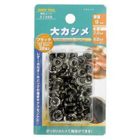 イチネンアクセス FAMILY TOOL(ファミリーツール) 大カシメ玉 ブラック 9mm×30組 51366