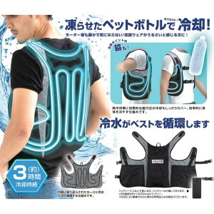 ╞ MǑ΍ M BRAIN ╞i⎮xXgj BR-861 obe[t