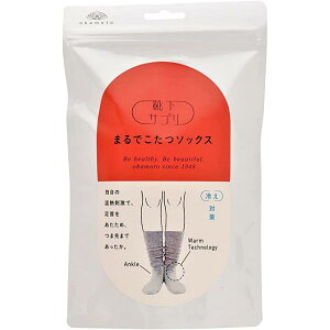 y݌ɗLz{ CTv ܂ł \bNX fB[X 23`25cm O[ @C   ʋ ʊw ₦ ΍ NX}X