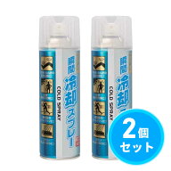 【まとめ買い】協和インターナショナル 瞬間冷却スプレー お徳用 500ml×2本セット コールドスプレー ク…