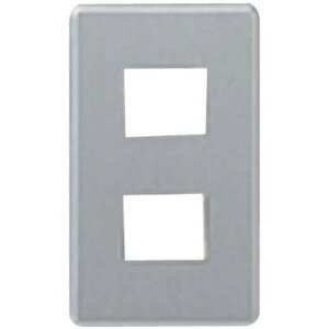 pi\jbN(Panasonic) [tR[gH]Vv[g[2^]2Rp WN65029