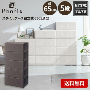 Vn tenma vtBbNX X^CP[Xg 6505 [^ uE TCY()65×s45×139cm [P[X ߗގ[