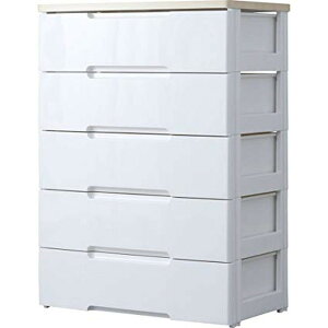 ACXI[} `FXg NNo ؓV 5i 73×s41.5×100cm zCg/yA[ HG-725R