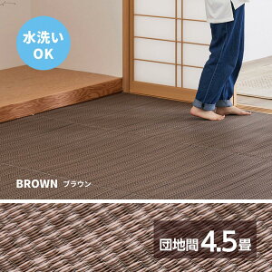 �yI�z ���� �􂦂邢�����J�[�y�b�g ���C�A�� �c�n��4.5�� 18913145 �u���E�� 255×255cm PP���O ���\��Ȃ� ��~