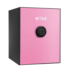 yIzWiSE@v~AɁ@sN@WS500ALPy[J[^JEݒuzyԎwszysz