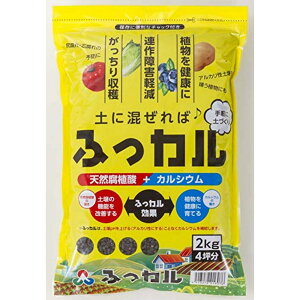 �����H�� �ӂ��J�� 2kg