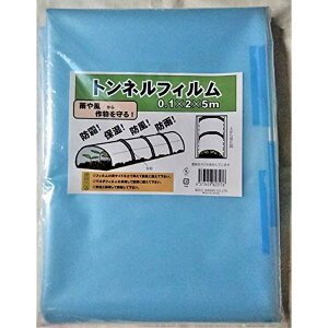 VZC(Shinsei) _ƗpgltB iTCYF0.1×2×5m u[