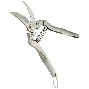 Lady flower I[XeX S-2