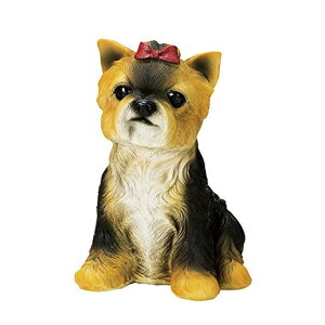 GC`c[I[ hbOnEXMtg [NVeA H9689