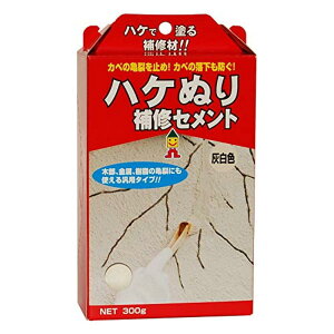 {~R nPʂZg DF 300g MHS-01