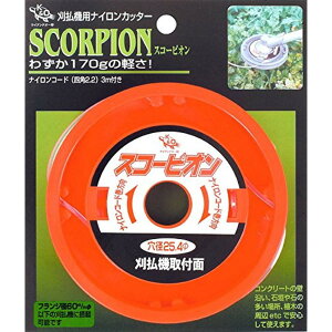 ѓSH @piCJb^[ XR[sI 000119