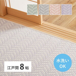 �yI�z ���� �􂦂邢�����J�[�y�b�g �p�X���b�V�� �]�ˊ�8�� 81961880 �p�[�v�� 348×352cm PP���O ���\��Ȃ� ��~