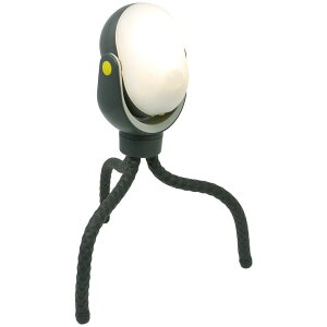 TV RITEX ǂłZT[Cg300 ASL-097