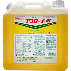 ۘaoCIP~J Av[`BI 5L W t _ _kn _Ǝ | K[fjO