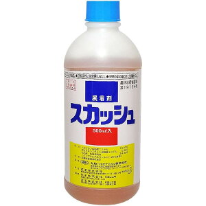 ۘaoCIP~J XJbV 500ml W _kn n_j AuV ǂ񂱕a _  | K[fjO