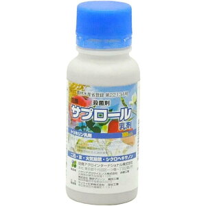 ZAOC^[iVi Tv[ 100ml Eۍ \h a ǂ񂱕a _  | K[fjO