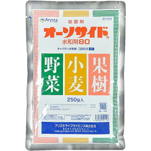 AX^CtTCGX I[\TCha80 250g Eۍ \h ϐۑ΍ _  | K[fjO