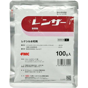 ۘaoCIP~J U[ a 100g  _knp St ق񂻂  _  | K[fjO