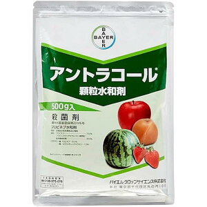 oCGNbvTCGX AgR[a 500g Eۍ a  Ȃ _  | K[fjO