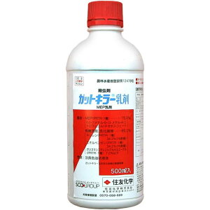 ZFw KbgL[ 500ml E J~LV c EQ h Q _  | K[fjO