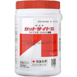 ZFw KbgTChS 1kg E ʎpEQE REK Q _  | K[fjO