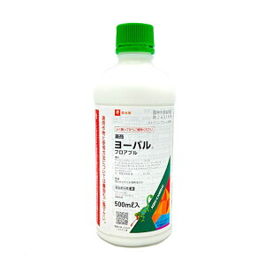 y݌ɗLE[zE [otAu 500ml AOJlVE