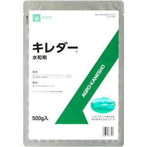 AOJlVE L_[ a 500g  _knp RP CVNQ [jSP  St _ _Ǝ | K[fjO